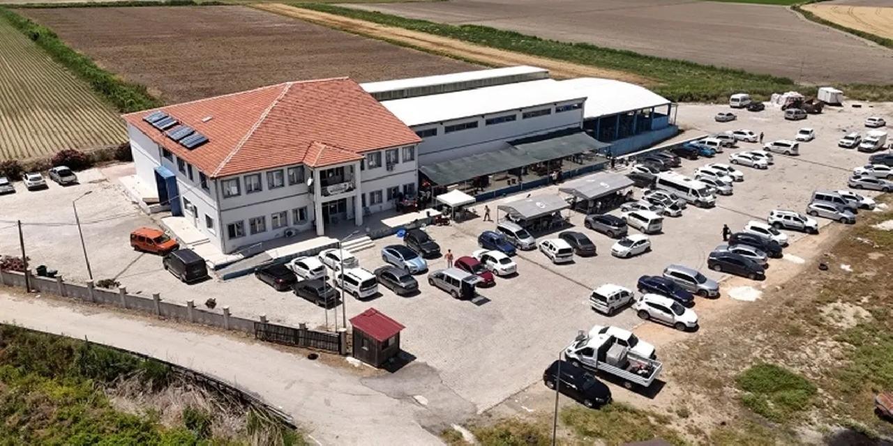 Hatay'da mezbahaneler tam gaz çalışıyor