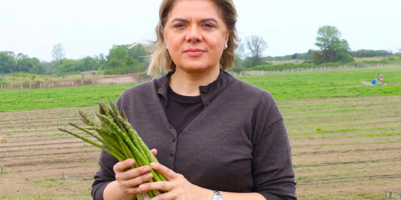 Sakarya'da “Organik Kuşkonmaz” üretimi bakanlık kayıtlarına geçti