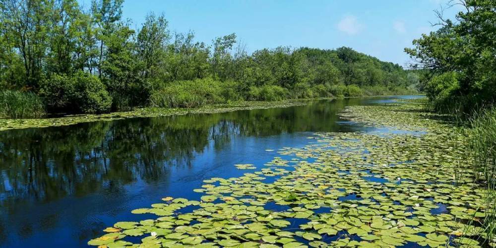 Sakarya’nın doğal cennetleri tatilcilerin uğrak noktası oldu