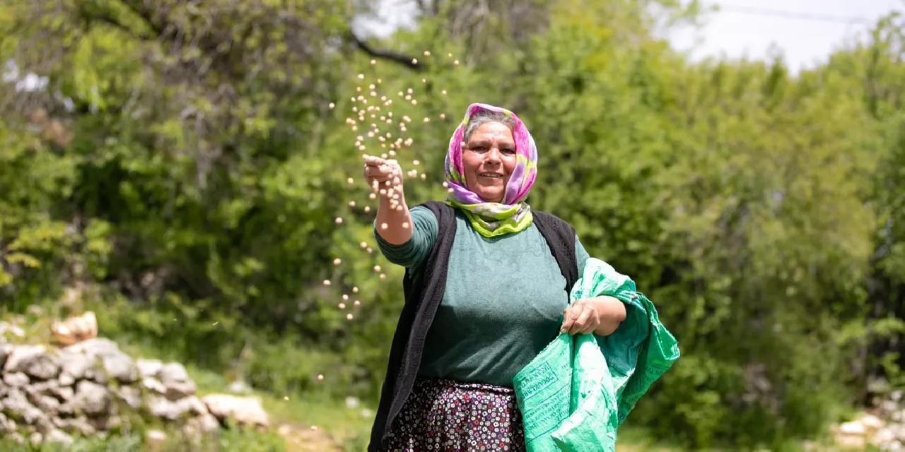 Mersin’de yerel tohumlarla üretim güçleniyor
