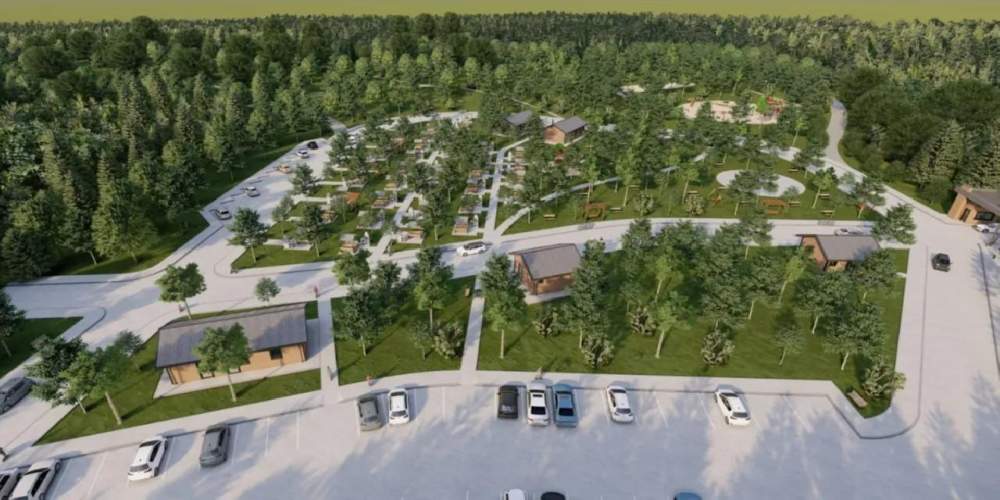 Sakarya'da 80 dönüm üzerine doğa projesi