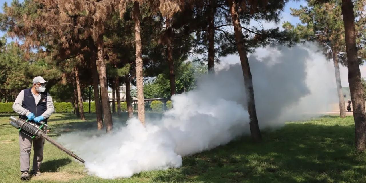 Belediyeden haşereye karşı seferberlik