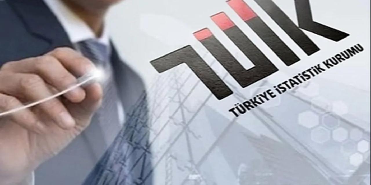 TÜİK bazı ekonomik göstergelerin yayın tarihlerini erteledi