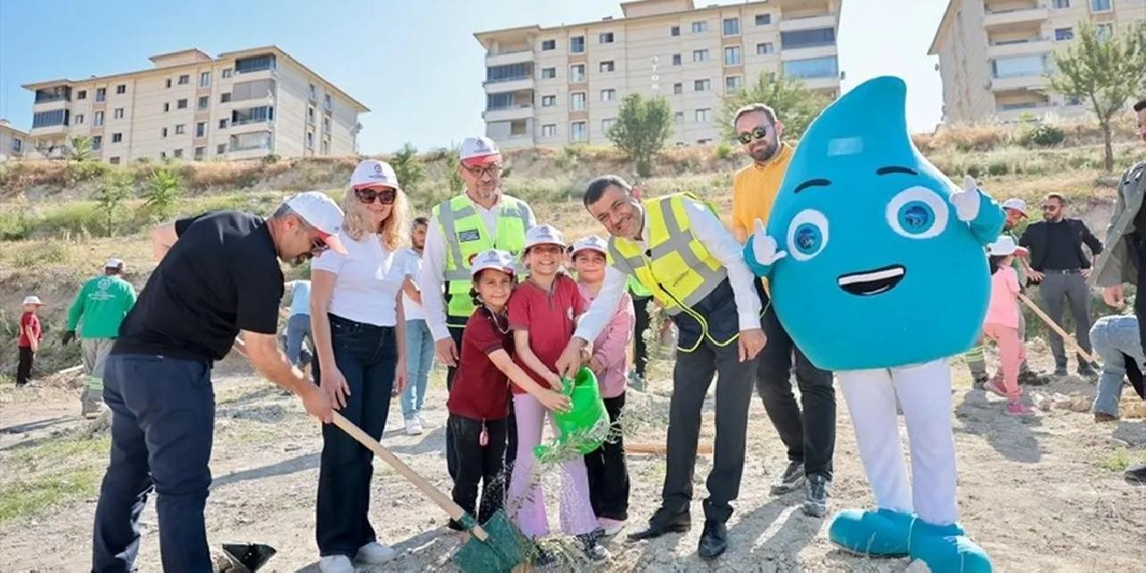 Denizli'de zeytin fidanları toprakla buluştu