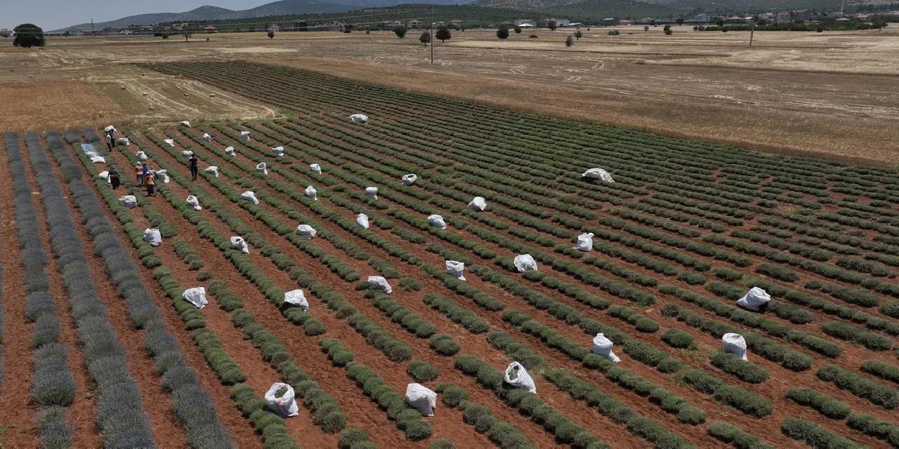 TZOB: 30 yılda 3 milyon hektar tarım arazisi kaybedildi!