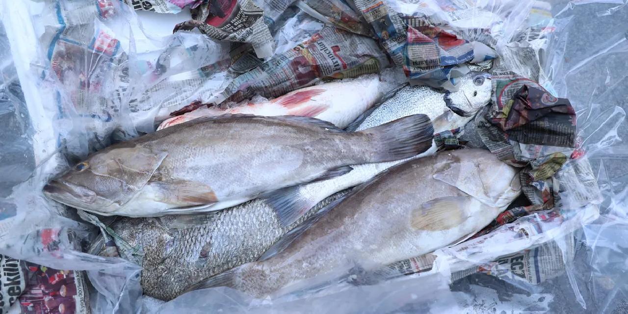  Antalya'da 260 kilo balığa el konuldu