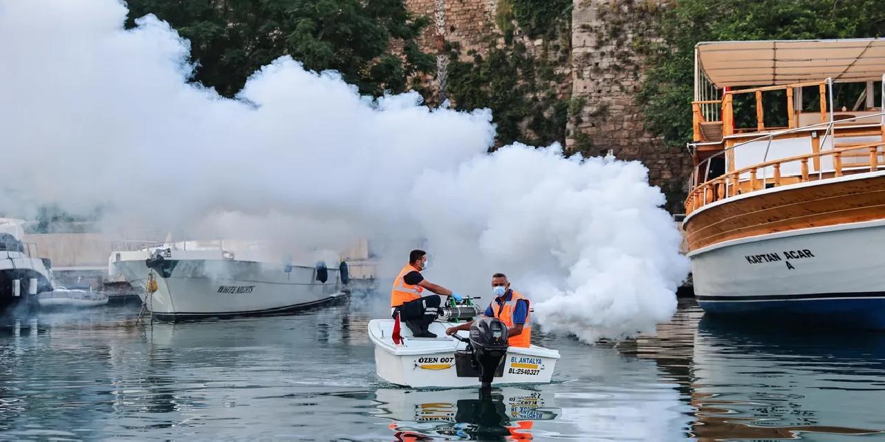 Antalya’da sahil bandında vektörle mücadele