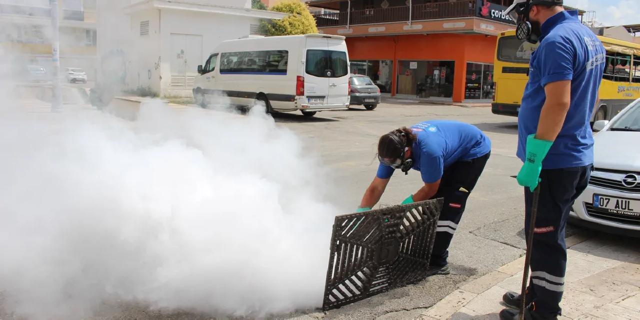 Antalya'da 19 ilçede yoğun vektörle mücadele