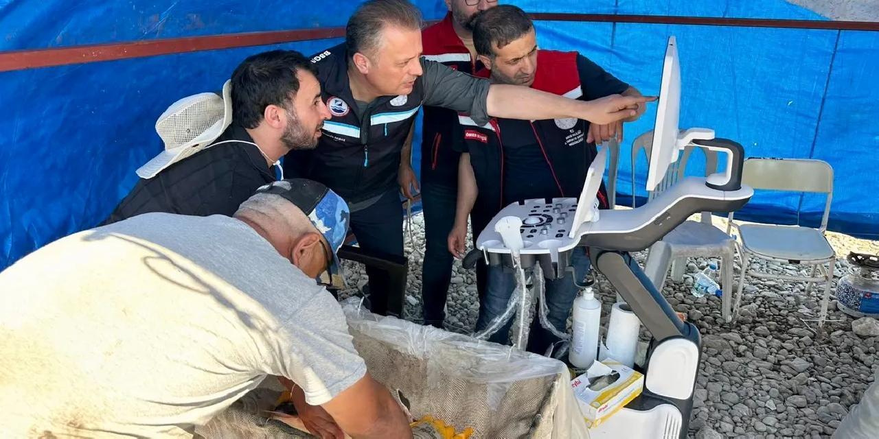 Mersin balıklarında erken cinsiyet tespiti için eğitim