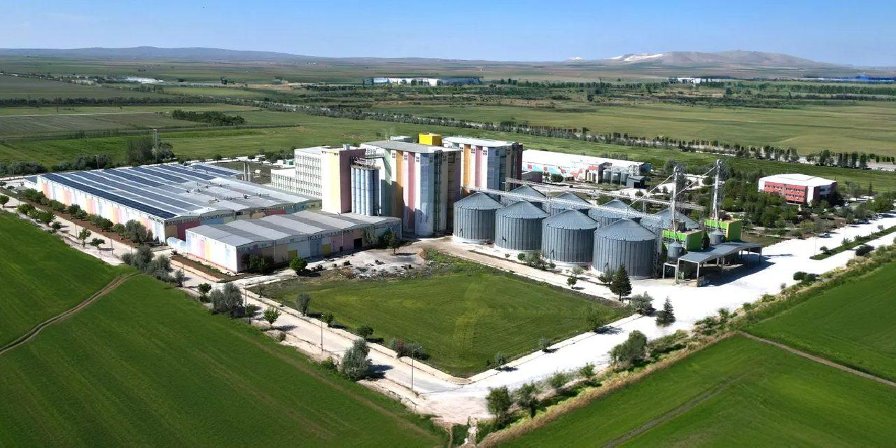 Golda Gıda’nın halka arzı onaylandı