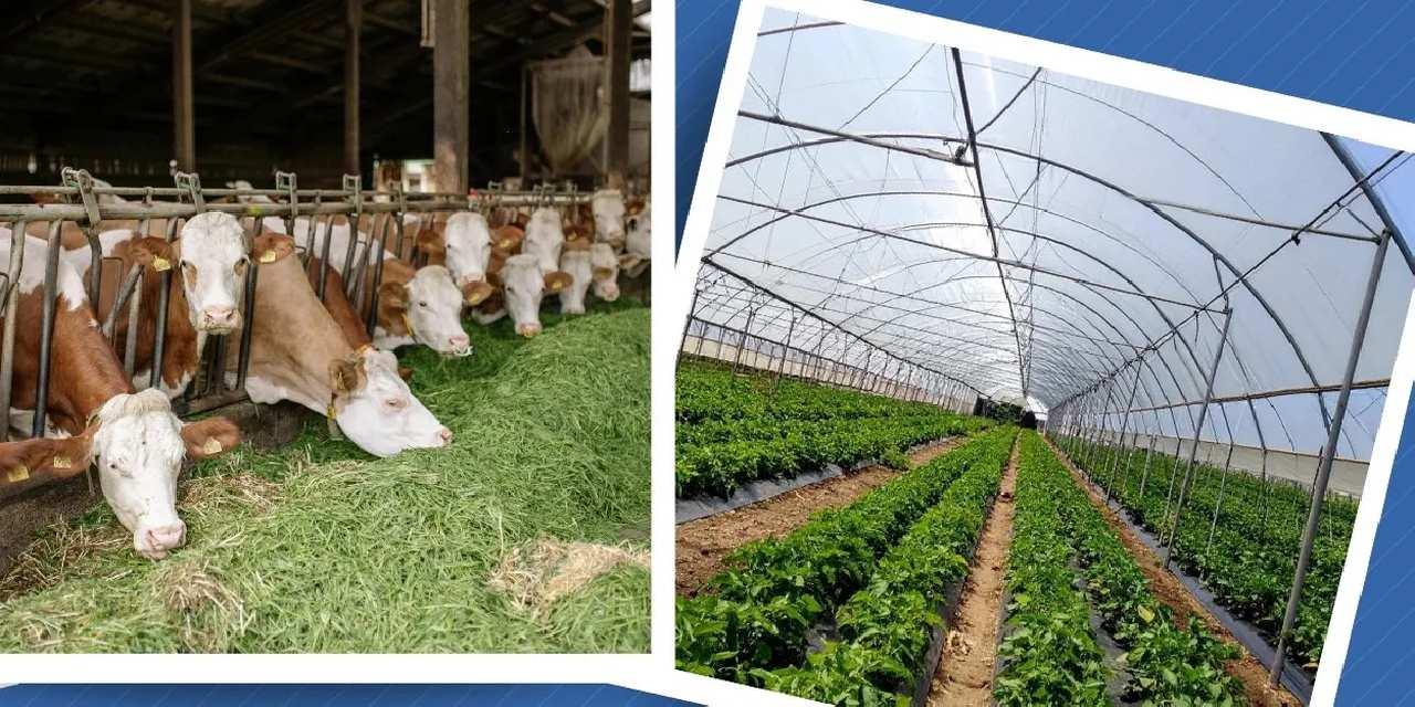 Kırsal Kalkınma Yatırım Programı başvuruları 3 Temmuz’a uzatıldı