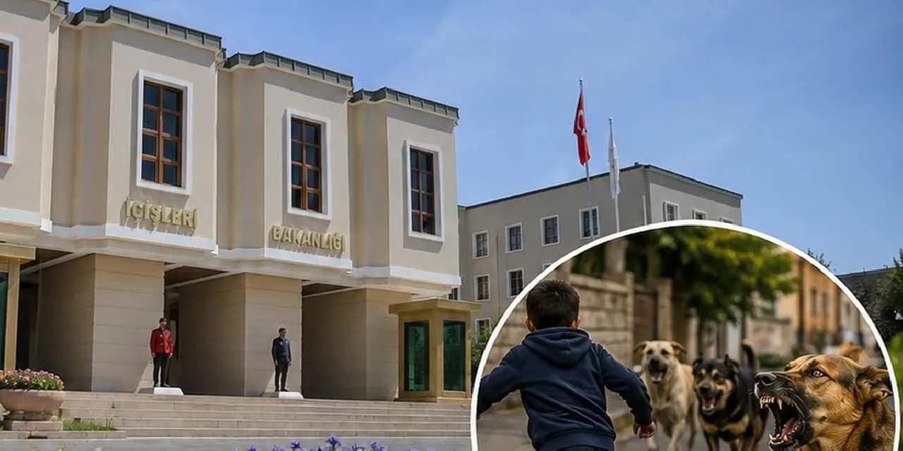 İçişleri'nden köpek saldırıları sonrası 3 belediye başkanı hakkında işlem... Muğla ve Erzurum'a soruşturma, Şanlıurfa'ya ön inceleme