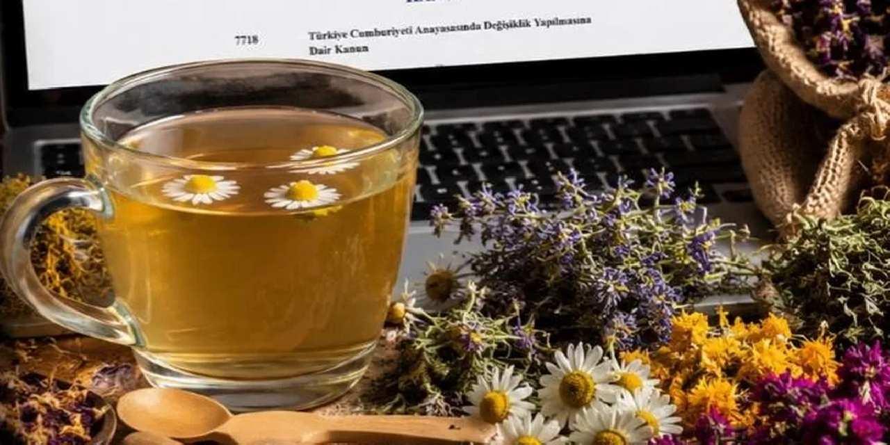 Tıbbi bitki çaylarına sıkı düzenleme... Sadece eczanelerde satılacak, ruhsat zorunlu oldu!