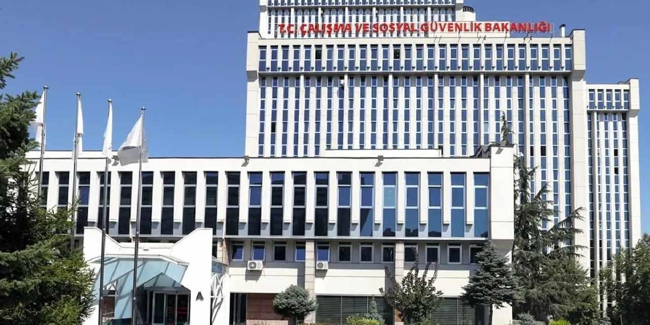Bazı kamu kurumlarının hizmet kolları yeniden belirlendi