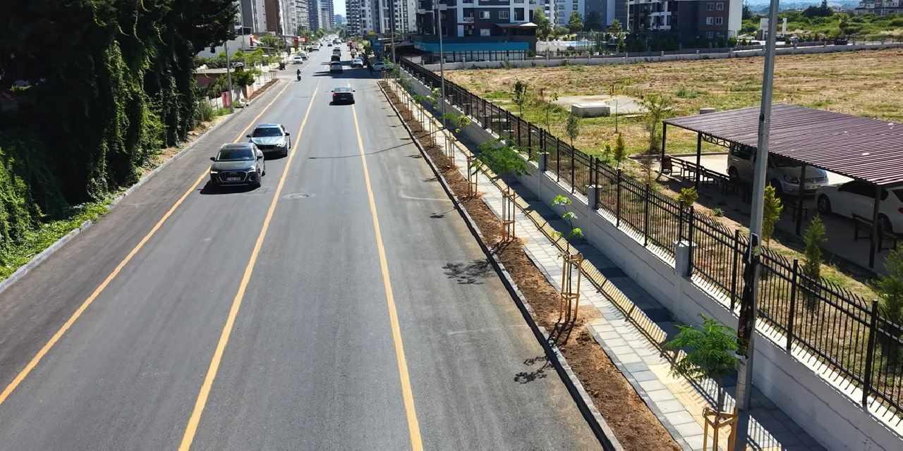 Mersin’de Gazi Paşa Caddesi 420 ağaçla yeşillendi