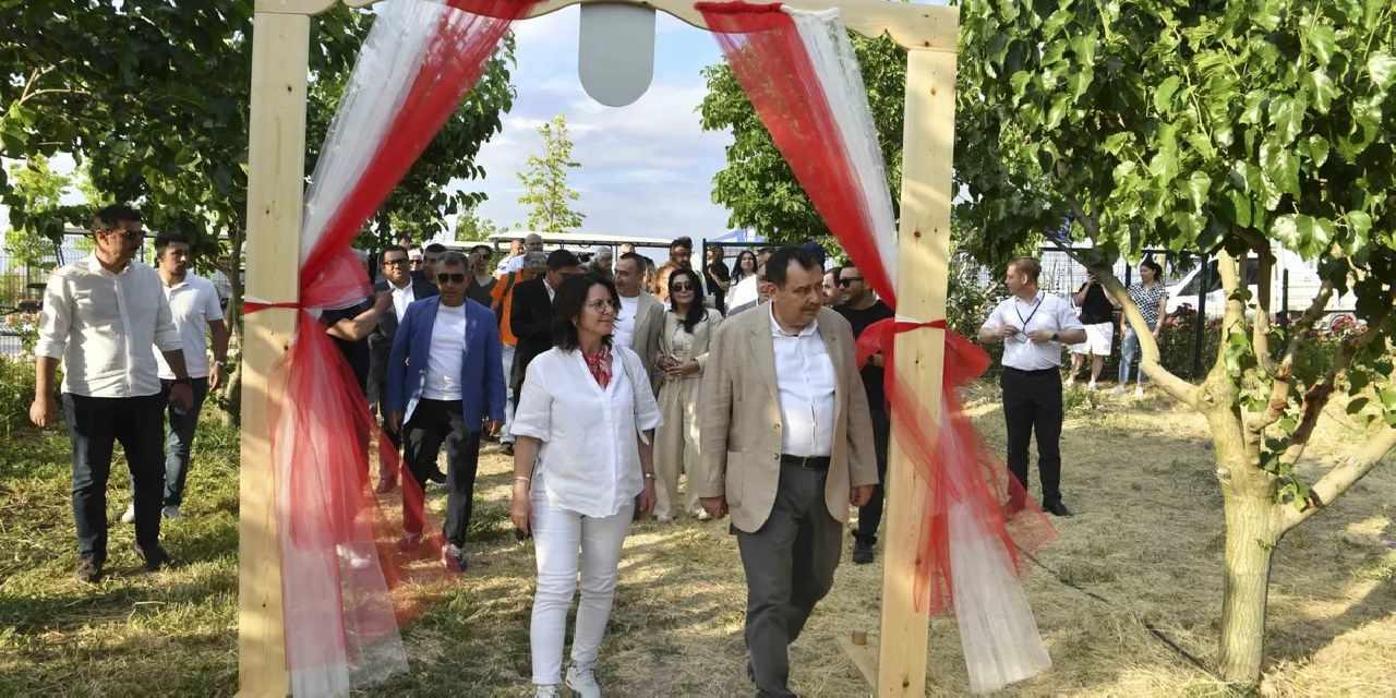 ATA Çiftliği’nde ilk dut toplandı