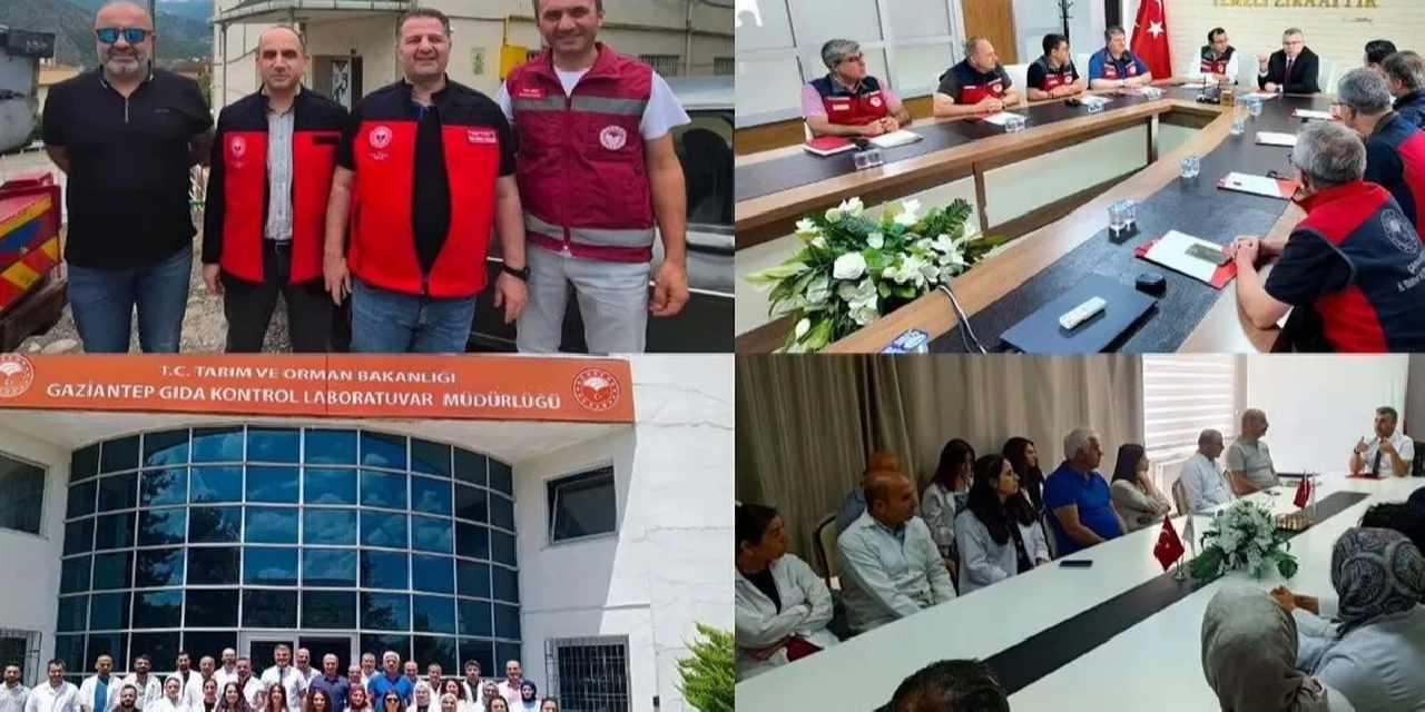 Güvenilir gıda için saha denetimleri sürüyor