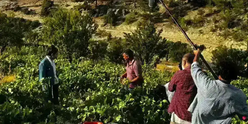 Sinema Ofisi yeni bir yapıma daha destek sunuyor