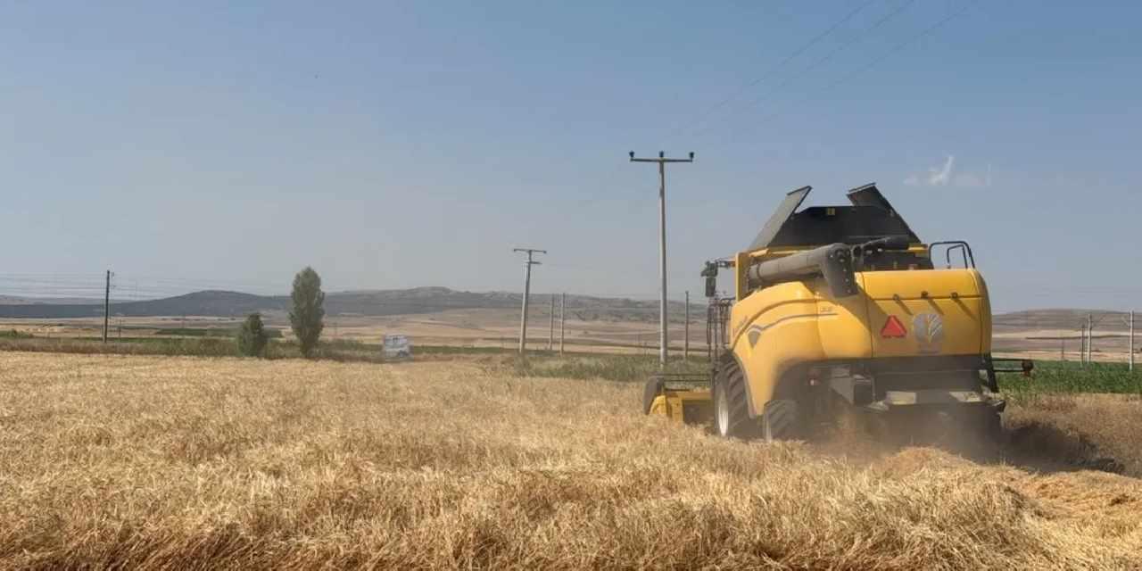 Eskişehir'de 77 tonluk arpa hasadı