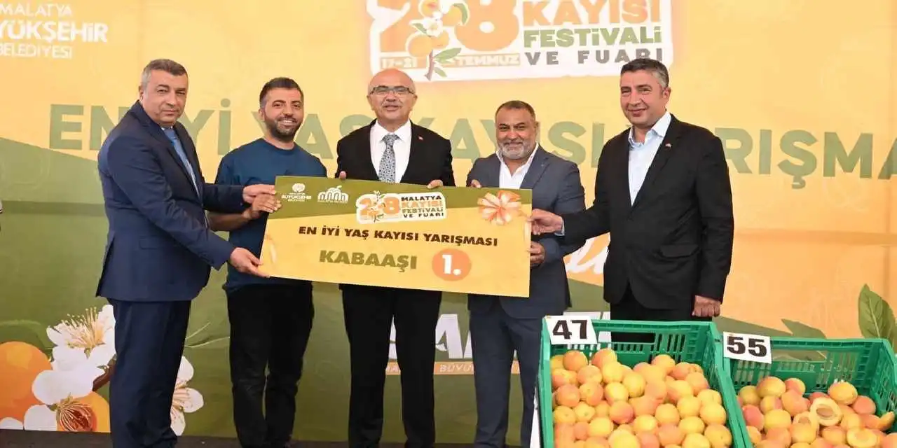 Malatya'da kayısılar yarıştı