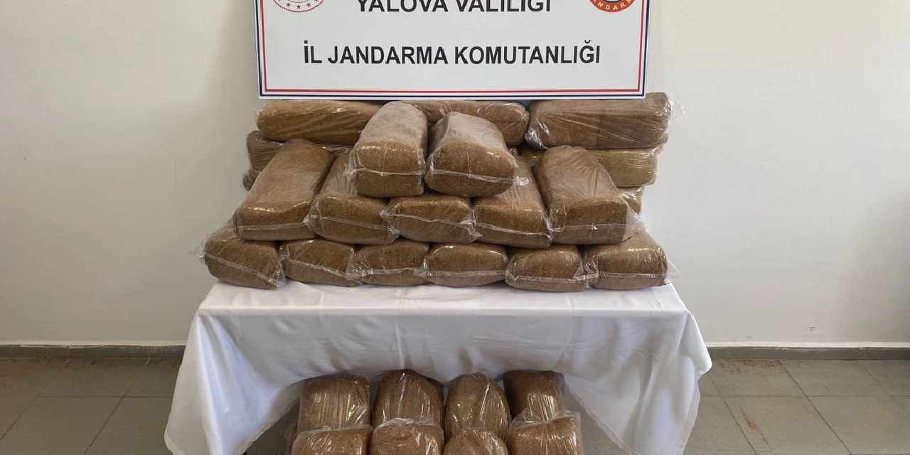 Yalova'da 160 kilogram bandrolsüz tütün ele geçirildi