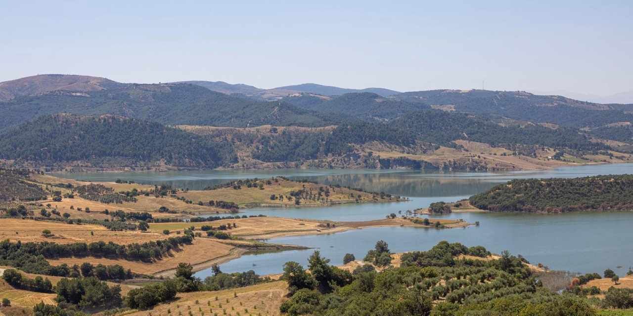 İzmir ve Manisa'dan dev çevre iş birliği... Gördes'e 2 bin dönümlük bal ormanı geliyor