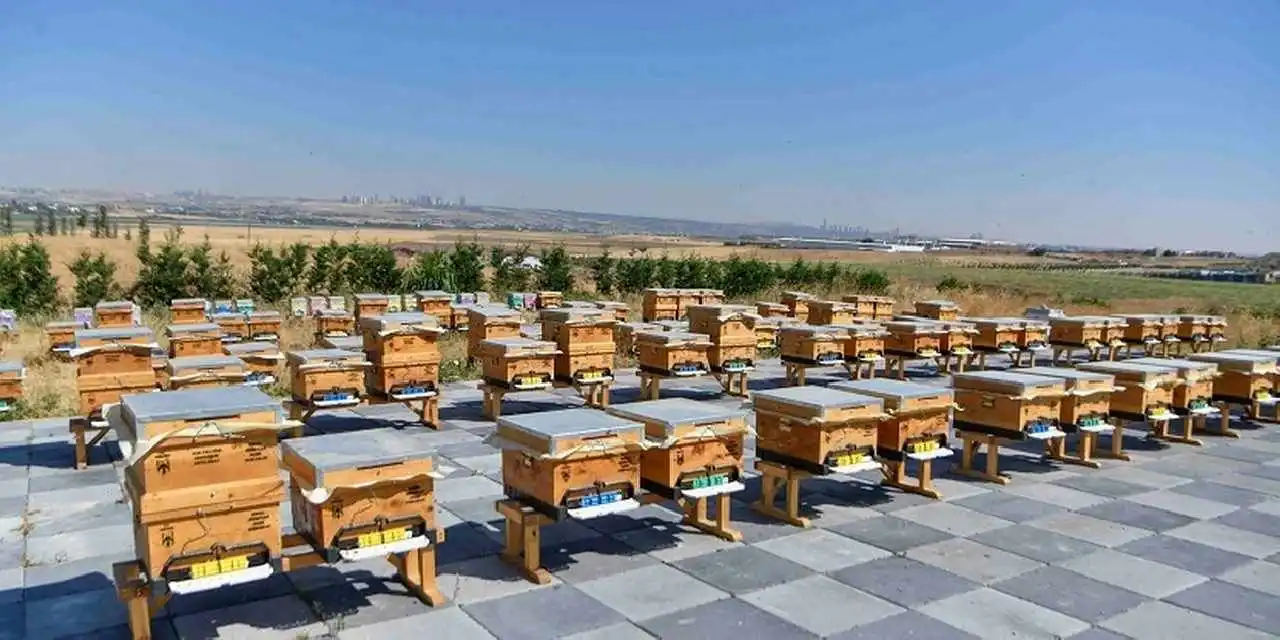 ABB'den arıcılığa destek