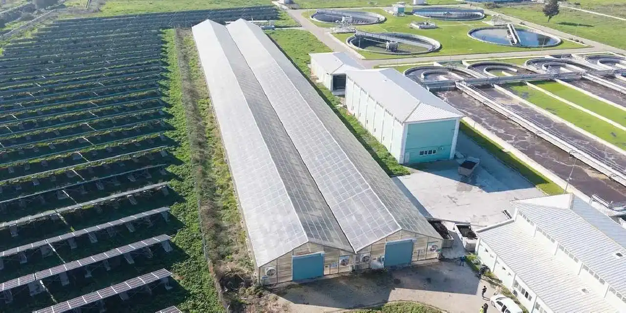 Türkiye’de öncü proje: Arıtma çamuru enerjiye ve toprak düzenleyiciye dönüşecek