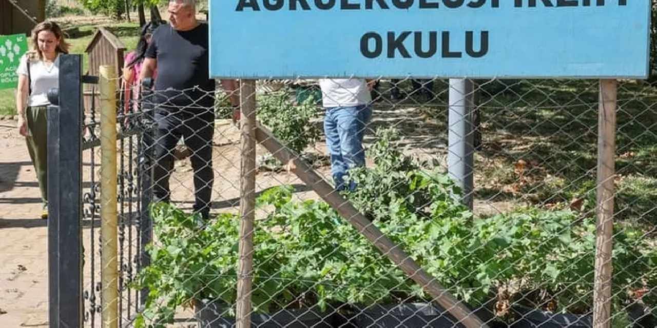 Diyarbakır'da Tıbbi Aromatik Bitki Üretim ve İşleme Tesisi
