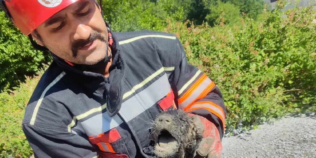 Malatya itfaiyesinden can dosta yardım eli