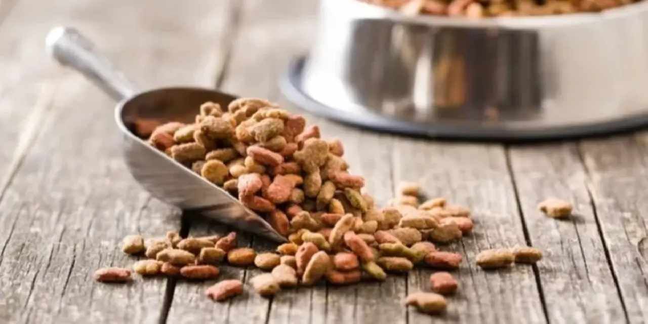 Yeni yapılan 31 bilimsel araştırmaya göre, vegan köpek maması ve vegan kedi mamasının iyi sindirildiğini ortaya koydu