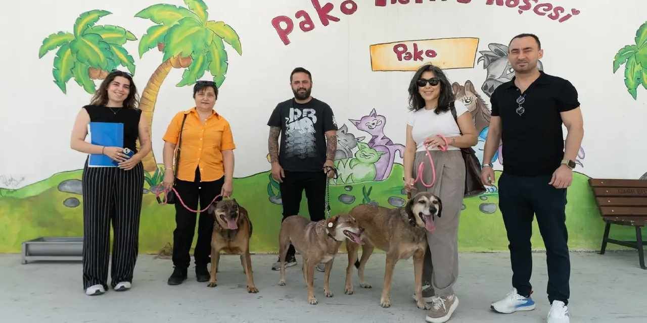 İzmir'de patili dostlar iş başında