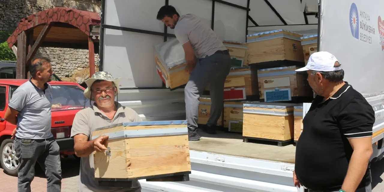 Antalya Büyükşehir’den arıcılara kovan desteği