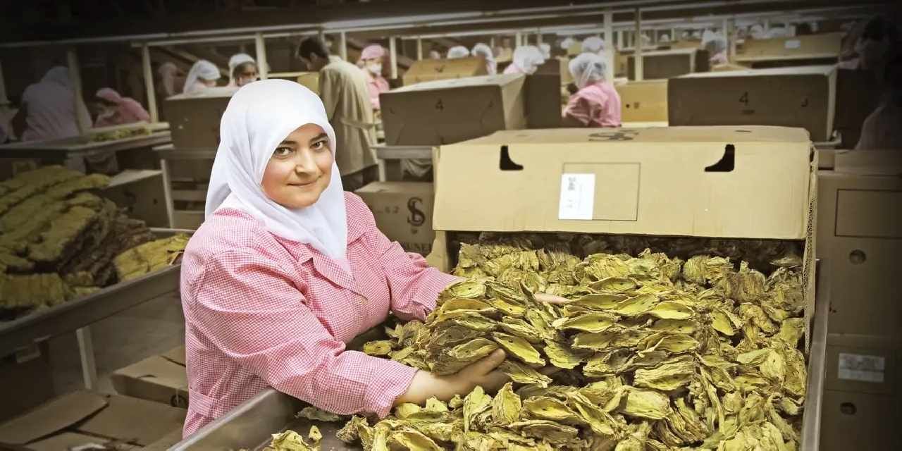 Ege İhracatçı Birlikleri ihracat rekorlarını otomatiğe bağladı