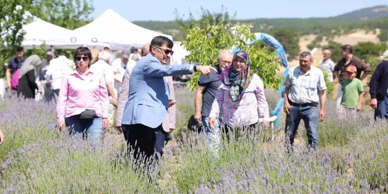 Kütahya’da lavanta hasadı coşkusu