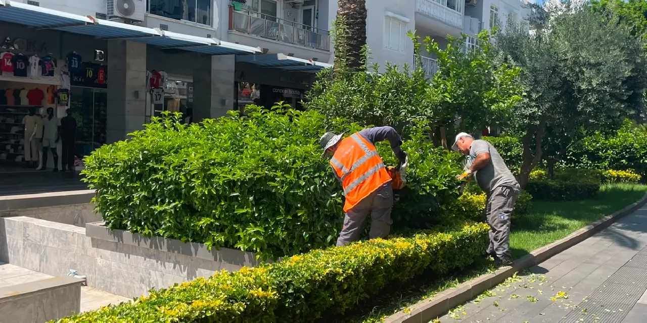 Antalya Büyükşehir’den Kemer’e çevre düzenleme