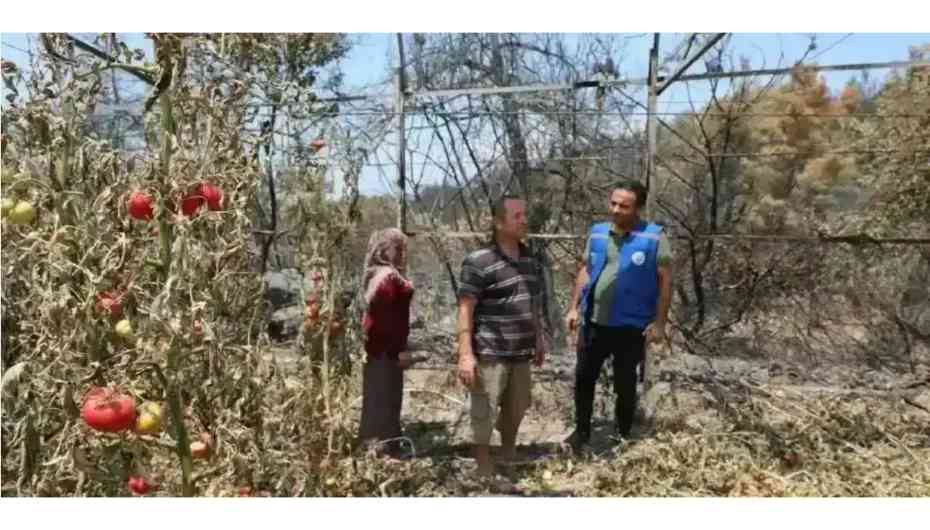 Muğla Seydikemer'de yangın sonrası seferberlik