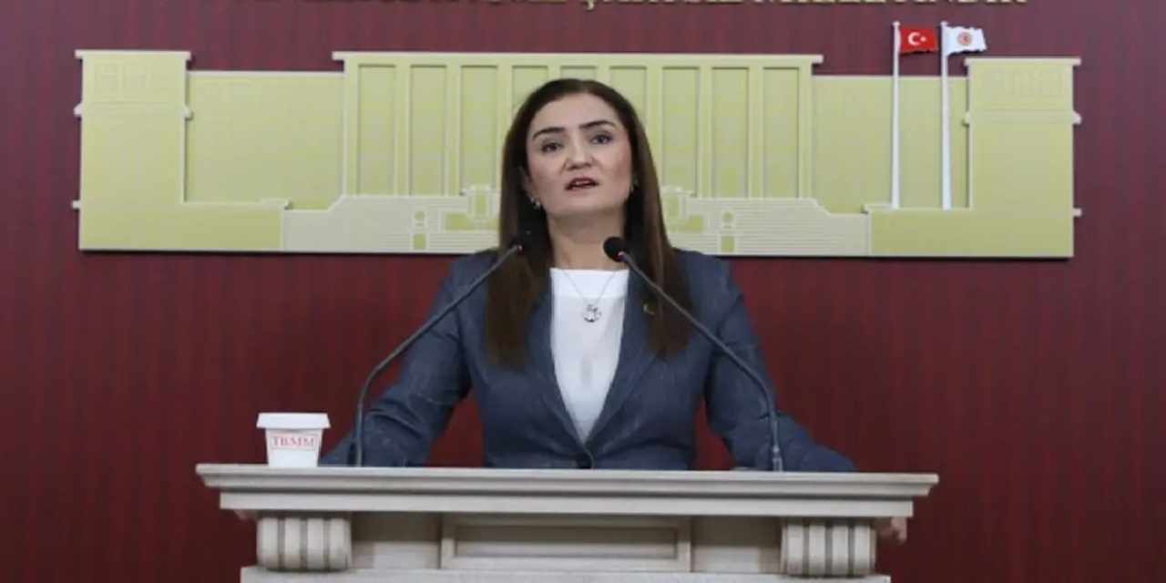 CHP Grup Başkanvekili Kılıç’tan 'silahsızlanma' vurgusu