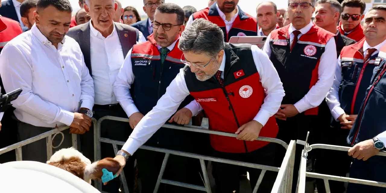 Hayvancılıkta dijital dönem... GEKİS Kars'ta uygulamaya alındı
