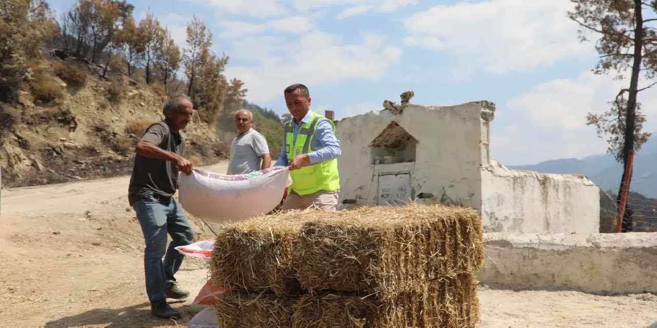 Muğla Seydikemer’de yaralar hızla sarılıyor