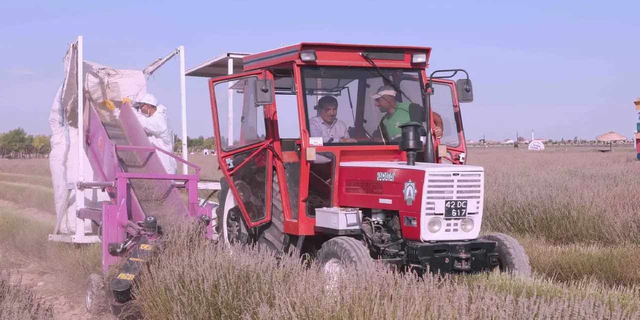 Karatay’da lavantanın hikayesi başlıyor