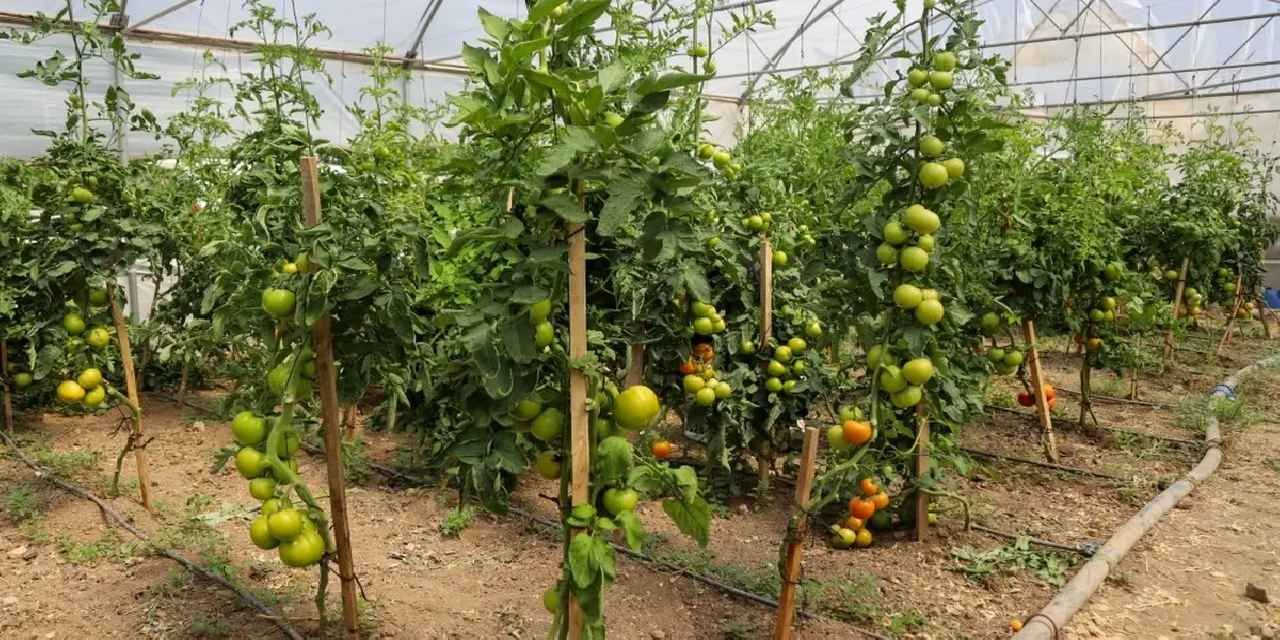 Eskişehir’de Çiftçi Destekleme ve Eğitim Merkezi kuruluyor