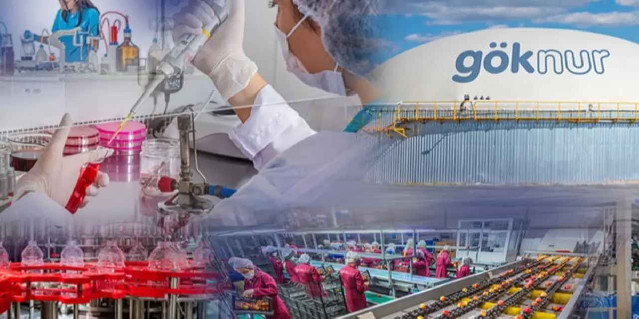 Göknur’dan kayyım açıklaması... Karar aynı gün kaldırıldı
