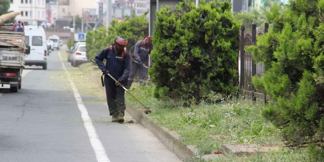 Giresun'da temizlik ve çevre düzenleme seferberliği