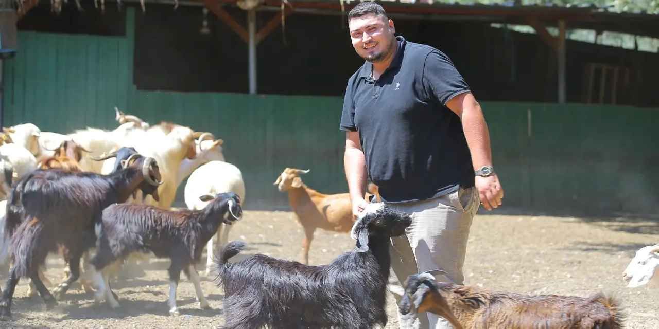 Adak kesimine gitti hayatı değişti! İki oğlakla başladı, 500 hayvana ulaştı