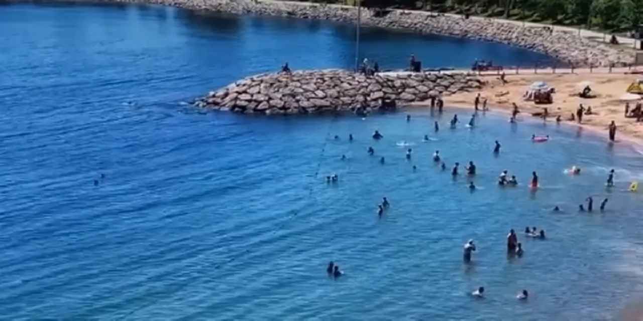 Darıca sahilinde dehşet! Denizden 3 ceset çıktı!
