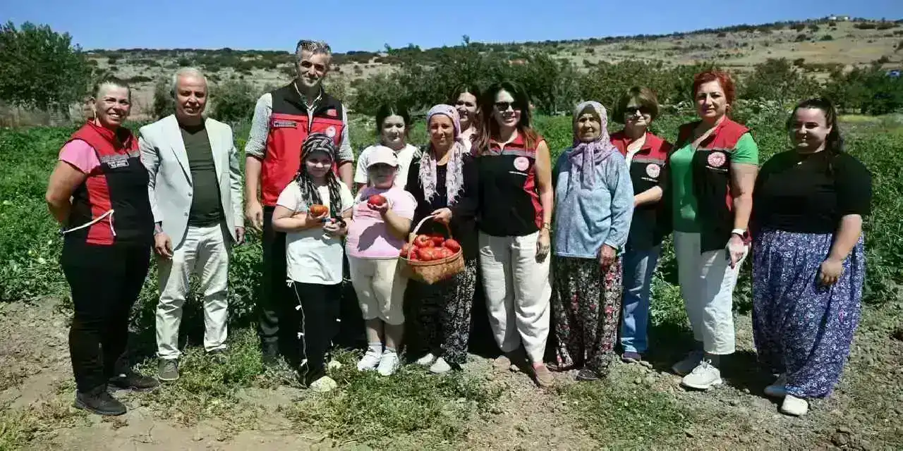 Yamanlar Tarla Domatesi için üreticilerle tarlada buluşuldu