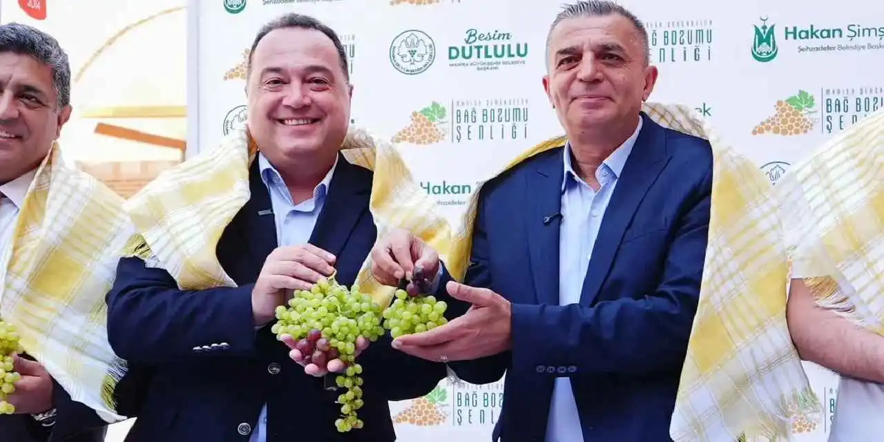 Üzümün başkenti Manisa bağbozumuna hazır