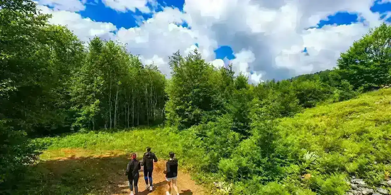 Kocaeli’de sporun her branşı var