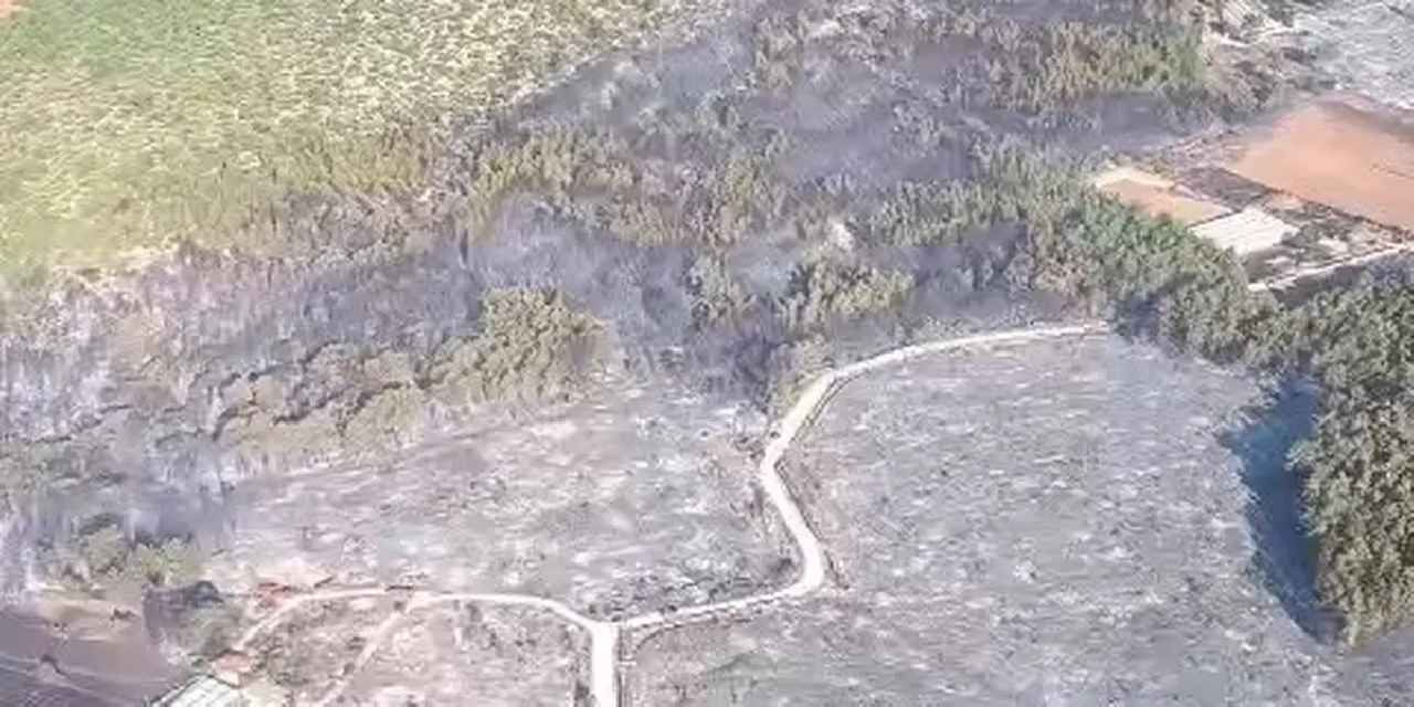 Muğla’da başlayıp Antalya’ya sıçrayan orman yangını kontrol altına alındı